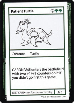 Patient Turtle (No PW Symbol)