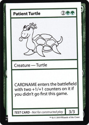 Patient Turtle (No PW Symbol)