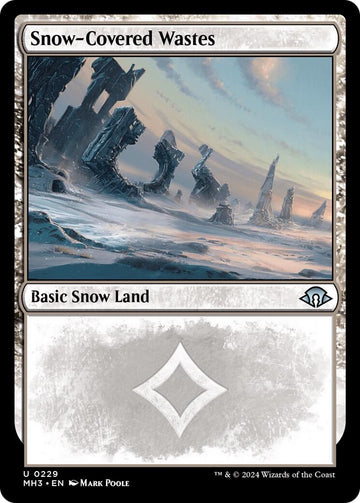 Snow-Covered Wastes (0229)