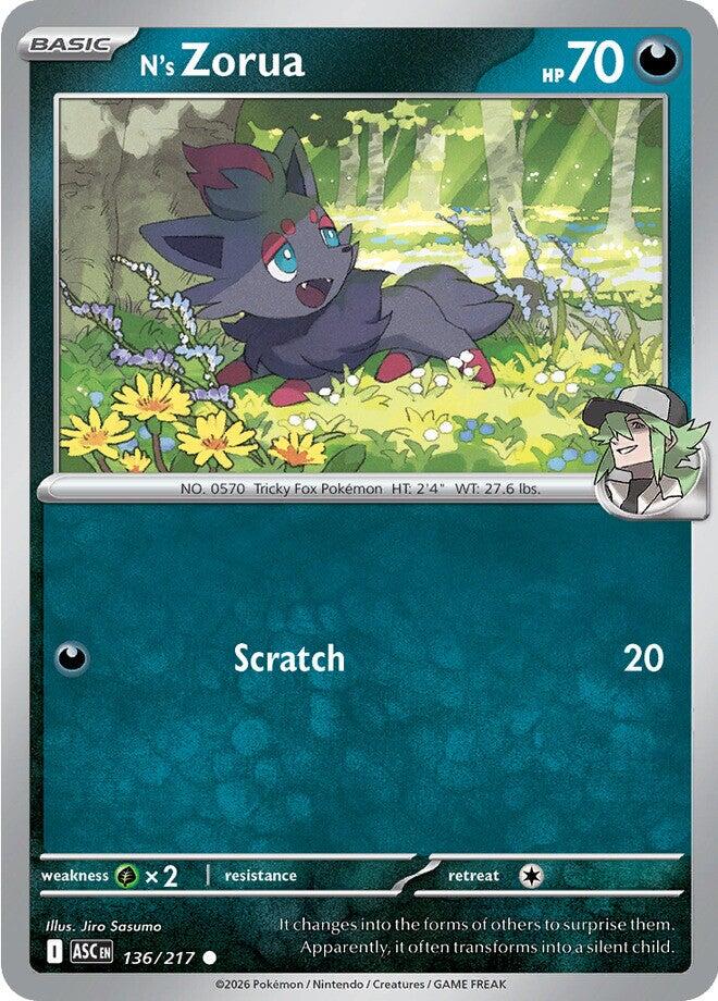 N's Zorua