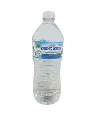 Spring Water 600mL